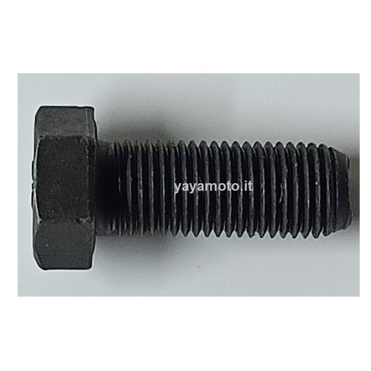 Vite puleggia motozappa Eurosystems