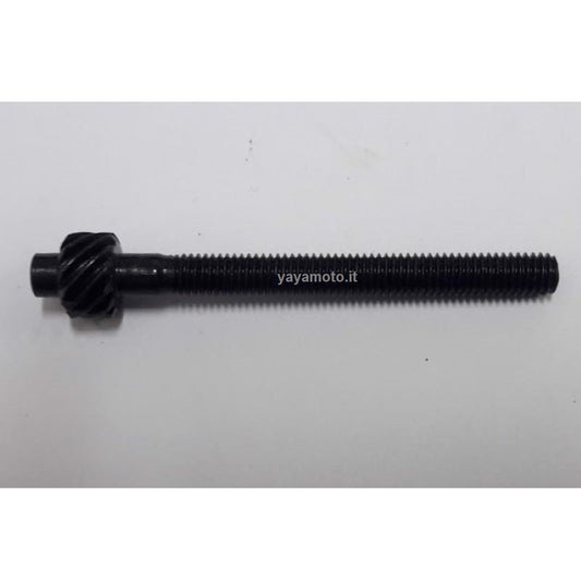 Vite tendicatena motosega AMA