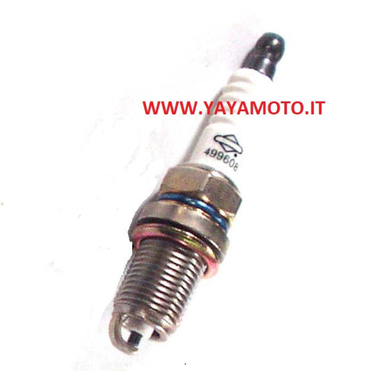 Candela Briggs&Stratton motozappa