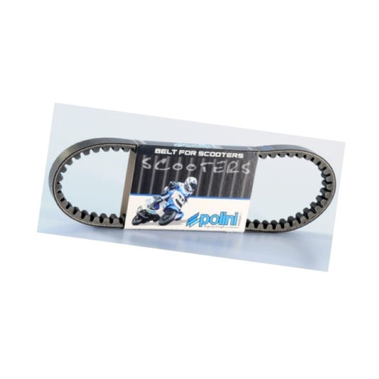Cinghia di trasmissione Polini