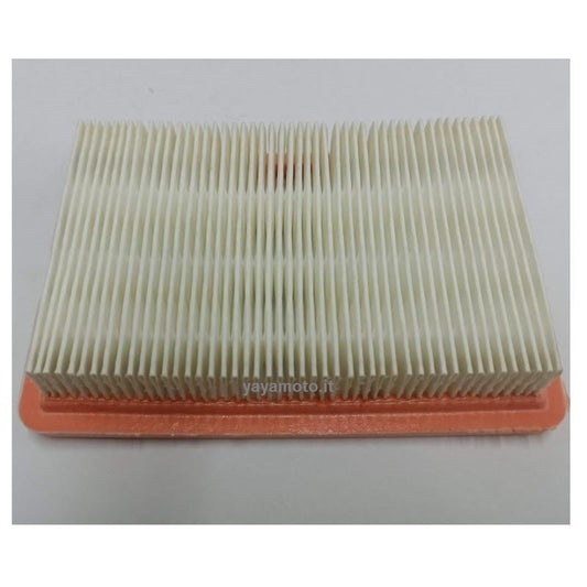 Filtro aria soffiatore e atomizzatore