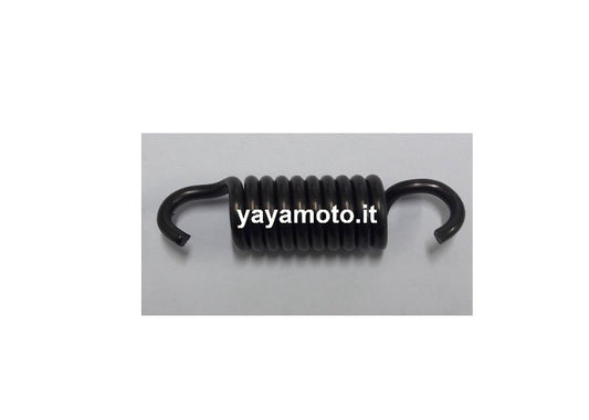 Molla nastro freno motosega Alpina Castor P34