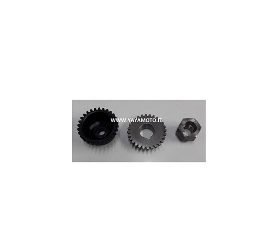 Ingranaggio Fantic Motor pompa acqua Trial