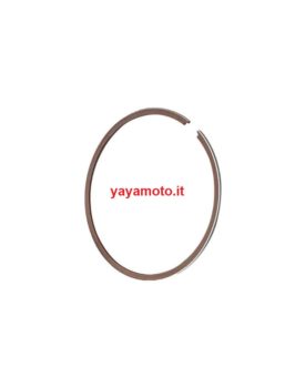 Segmento superiore Trial Fantic Motor