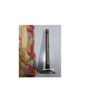 Kit Valvole aspirazione Fiat 1100 R