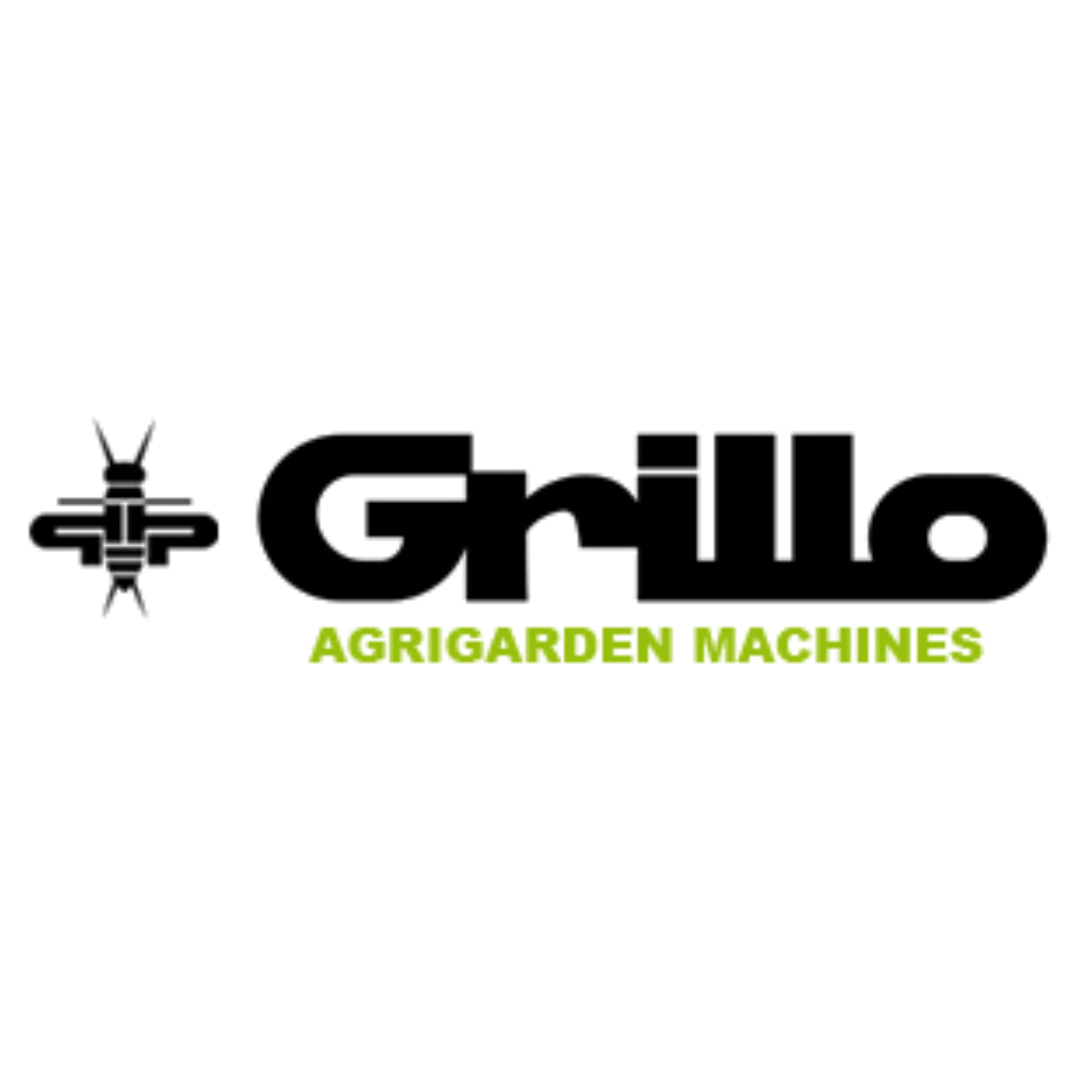Grillo