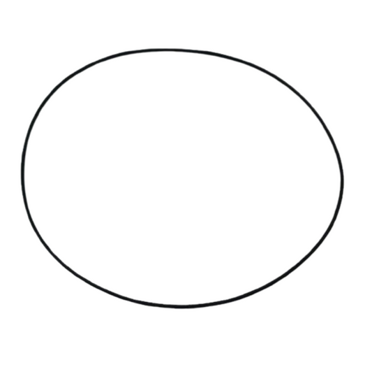 Anello o-ring coperchio