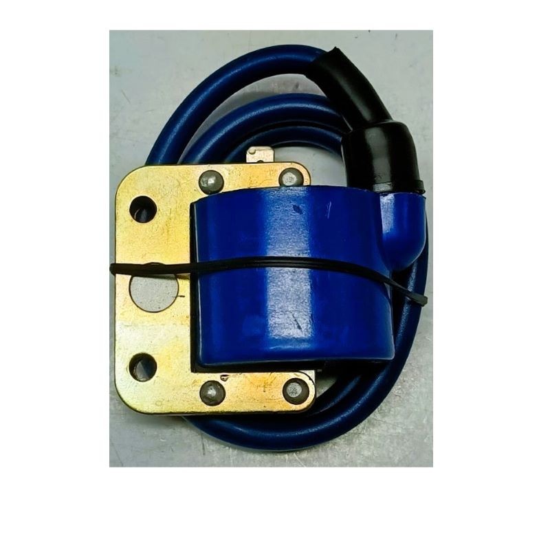 BOBINA ACCENSIONE CENTRALINA PIAGGIO NRG POWER DT 50 2013 BOBINA ACCENSIONE CENTRALINA PIAGGIO NRG POWER DT 50 2013