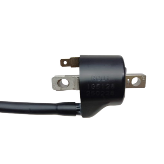 Bobina motocicletta Beta