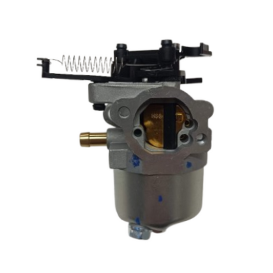 Carburatore Briggs&Stratton DOV