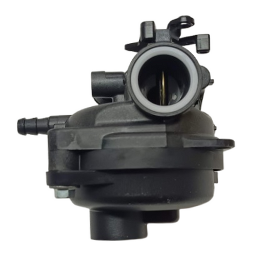 Carburatore Briggs&Stratton