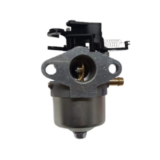 Caruratore Briggs&tratton DOV