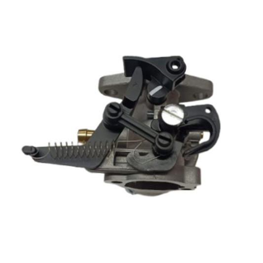 Carburatore Briggs&Stratton DOV