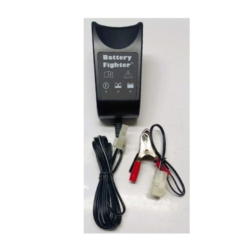 Carica batterie e mantenitore di carica