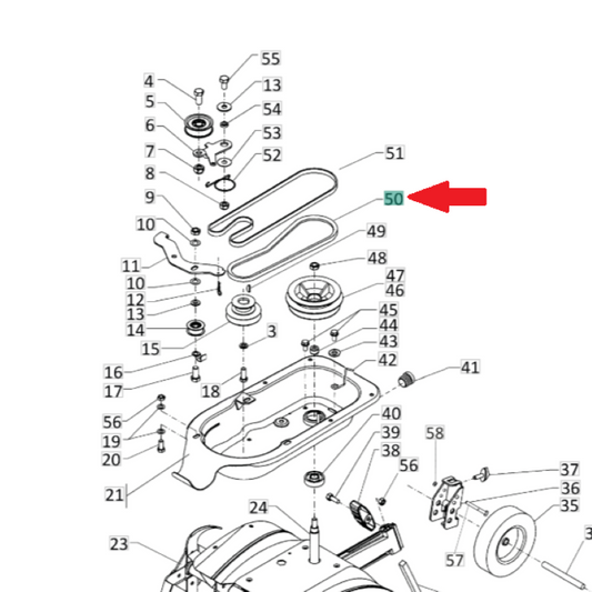 Cinghia motozappa