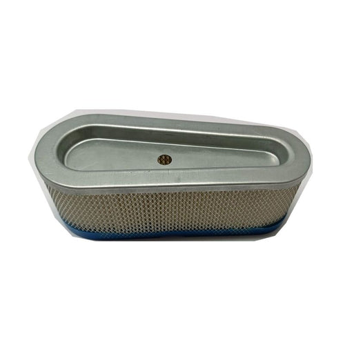 Filtro aria motore Briggs & Stratton valvole laterali