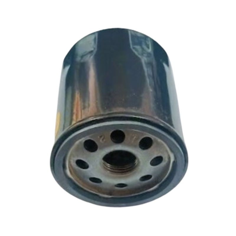 Filtro Olio Briggs & Stratton 12S975, 121S75, 124S05 BRIGGS & STRATTON - Foto 4