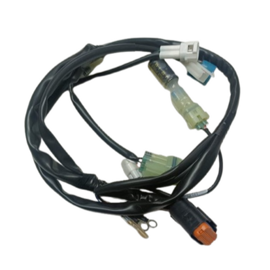 Impianto elettrico Beta RR 125