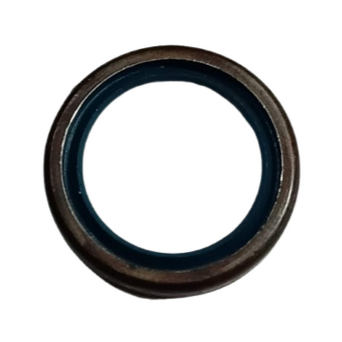 Paraolio 15x21x3 leva frizione Ape