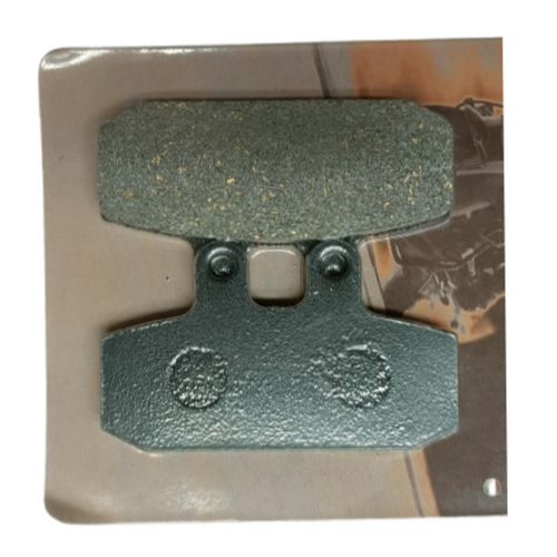 Coppia pastiglie freno Organic