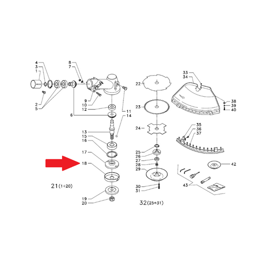 Esploso protezione decespugliatore Bluebird