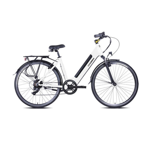 Bici elettrica a pedalata assistita