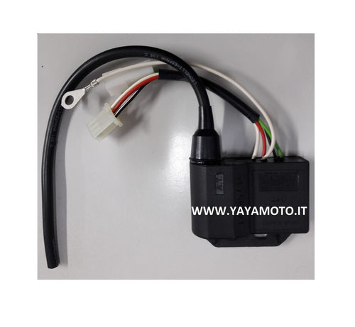 Bobina Accensione Per Moto E Scooter, Compatibile Con Malagutti 50, F10, F12, F15, Beta, Ark, Tempo, Quadra