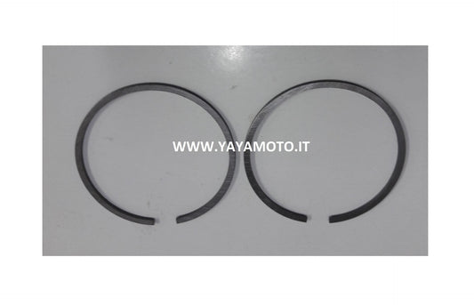 Segmento fascia elastica motosega