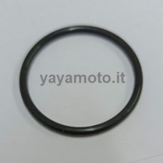 Guarnizione anello O-ring tappo serbatoio