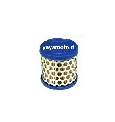 Filtro aria motore Briggs&Stratton 5 HP