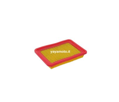 Filtro aria rasaerba motozappa Efco LR Oleomac G