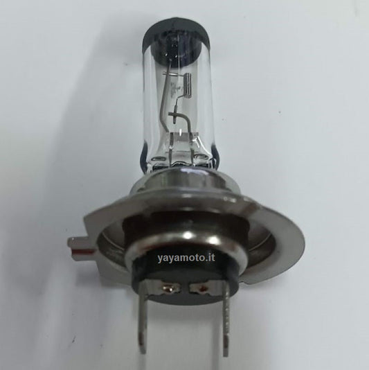 Lampada alogena H7