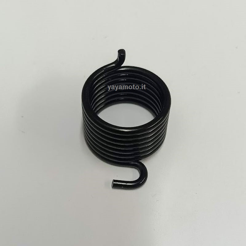 Molla Avviamento Facilitato Decespugliatore– Di Spina Gianvito - Foto 11