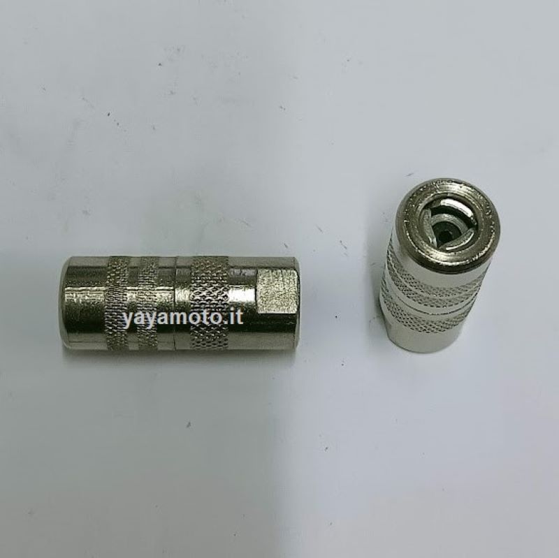 Testina Per Ingrassaggio A Sgancio Rapido - Autobloccante Doppia Leva, Filetto M10x1, Fino A 550 Bar