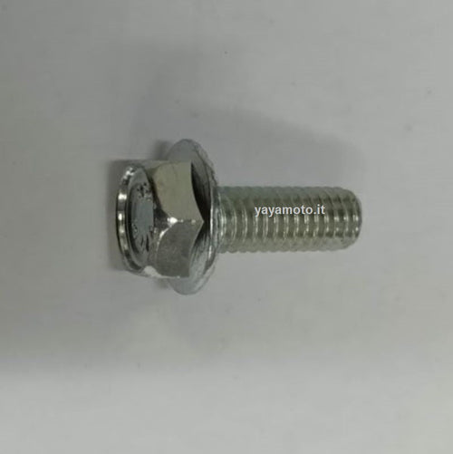 Vite marmitta scooter motori Minarelli