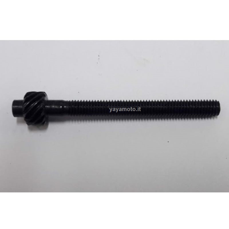 Kit Vite Tendicatena Per Motosega Oleomac Efco GSH40 GSH400 - Foto 7