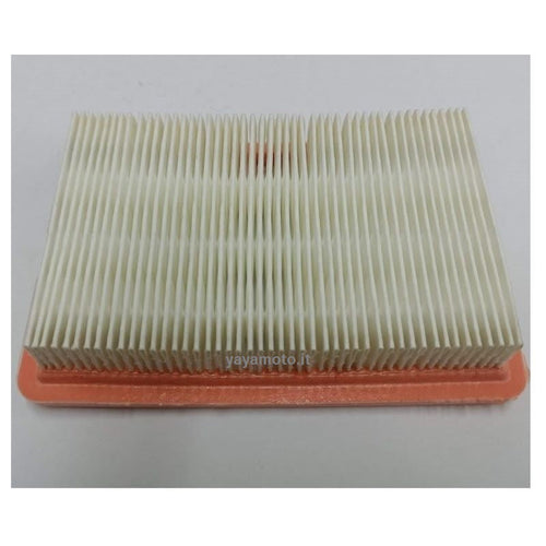 Filtro aria soffiatore e atomizzatore